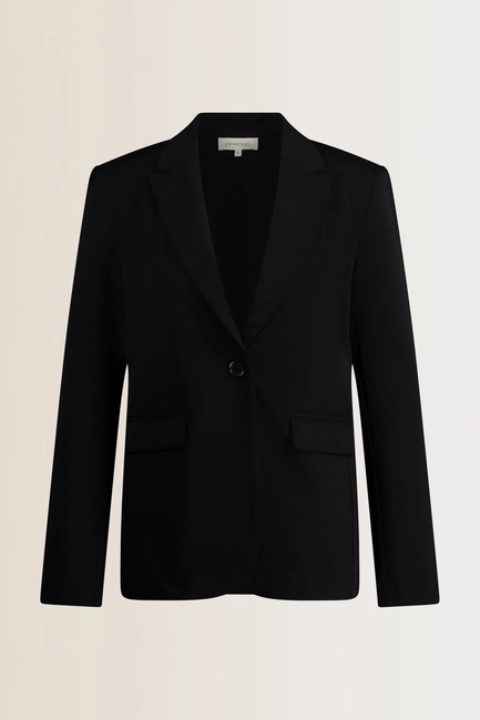 Basis travelblazer