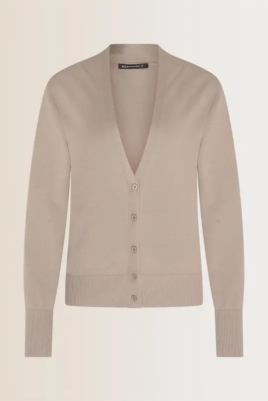 Fijngebreid vest met v-hals