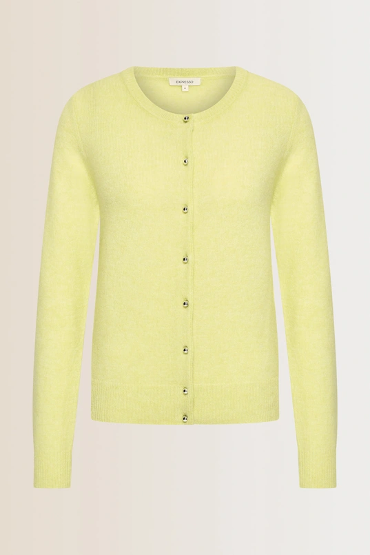 Fijngebreid vest