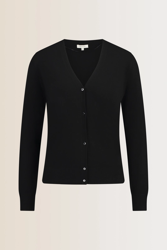Vest met V-hals